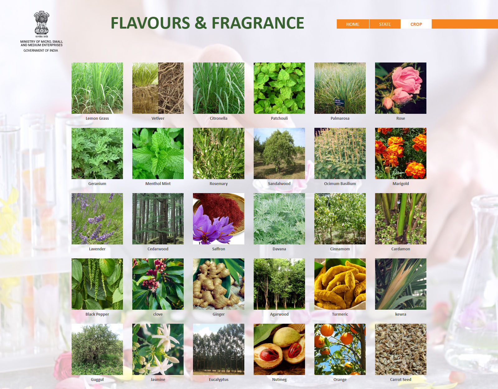 flavours-and-fragrance-crops