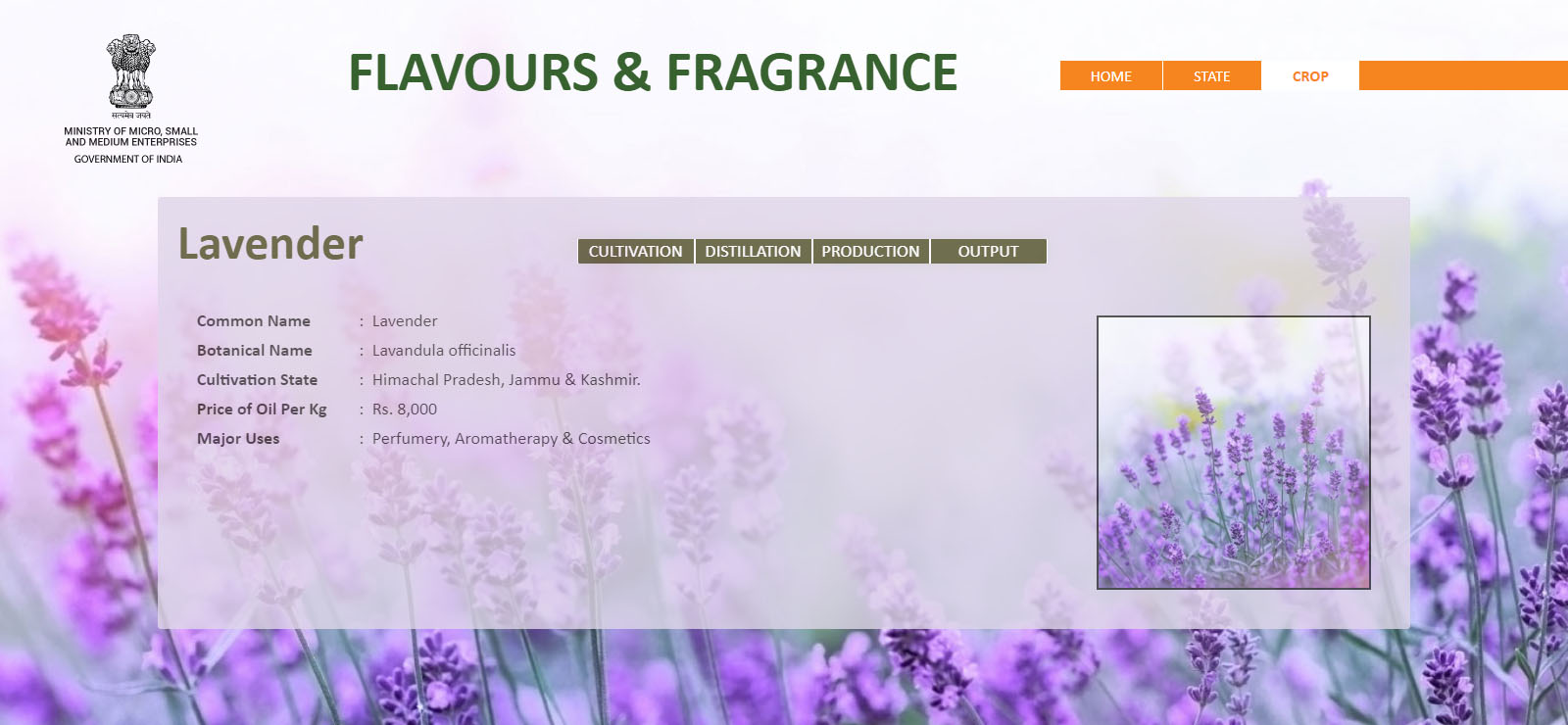 flavours-and-fragrance-lavender