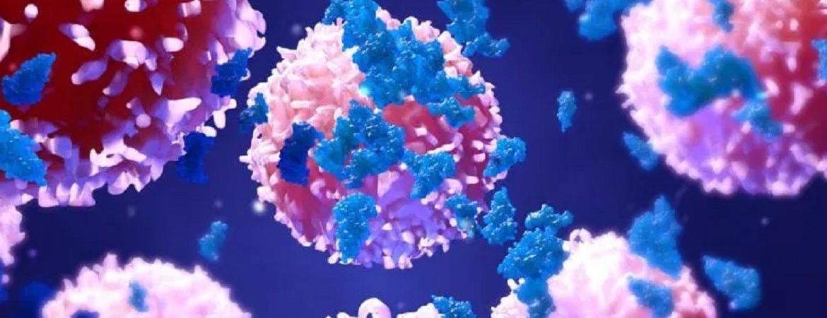 ibm-open-sources-three-ai-projects-dedicated-to-curing-cancer