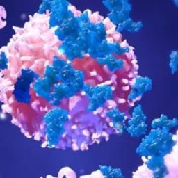 IBM open-sources three AI projects dedicated to curing cancer